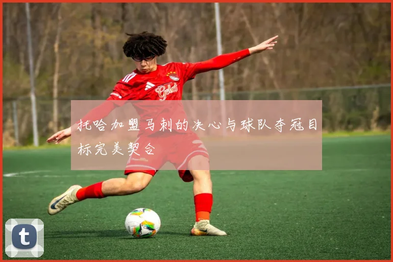 托哈加盟马刺的决心与球队夺冠目标完美契合